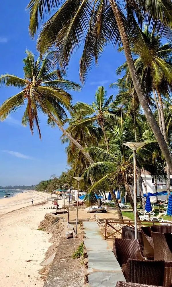 The hotel's frontage on Bamburi Beach with loungers under the palms — Kenya Bay Beach Hotel, Bamburi Beach Mombasa