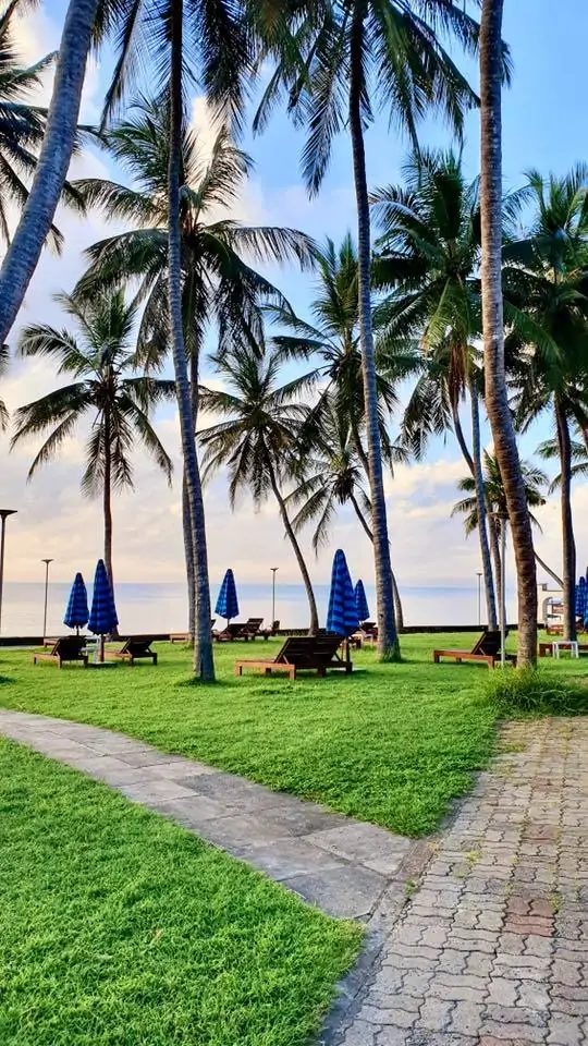 Loungers and palms in the hotel gardens at sunset, Bamburi Beach